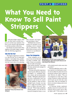 I What You Need to Know To Sell Paint Strippers