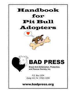 BAD PRESS  Handbook for