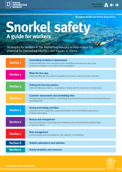 Snorkel safety D A guide for workers