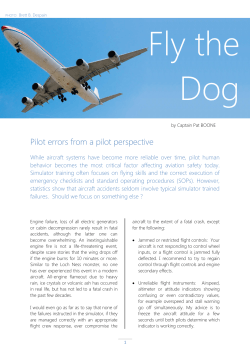Fly the Dog  Pilot errors from a pilot perspective