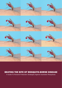 BEATING THE BITE OF MOSQUITO-BORNE DISEASE