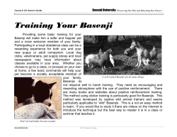 Training Your Basenji