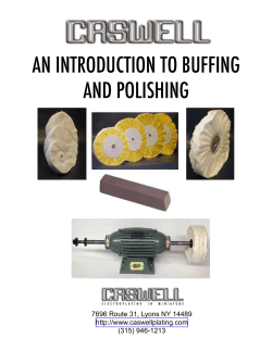 AN INTRODUCTION TO BUFFING AND POLISHING  7696 Route 31, Lyons NY 14489