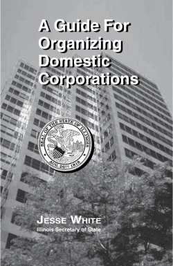 A Guide For Organizing Domestic Corporations