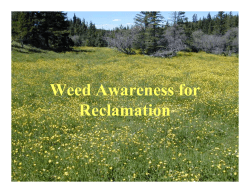 Weed Awareness for Reclamation