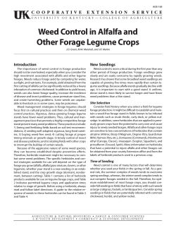 Weed Control in Alfalfa and Introduction New Seedings