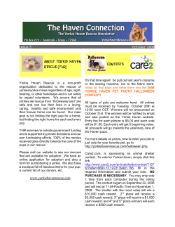 ABOUT YORKIE HAVEN CONTESTS RESCUE (YHR)