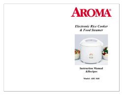 Electronic Rice Cooker &amp; Food Steamer Instruction Manual