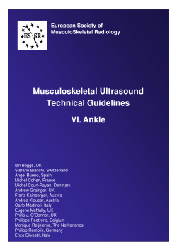 Musculoskeletal Ultrasound Technical Guidelines VI. Ankle European Society of