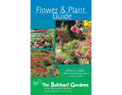 &amp; Plant Flower Guide A selection of popular