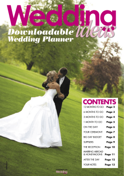 Wedding Downloadable  Wedding Planner