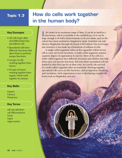 L How do cells work together in the human body? Topic 1.3