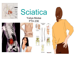 Sciatica Yuliya Mutsa PTA 236