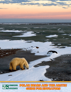 Polar Bears and The arcTic Guide for educaTors