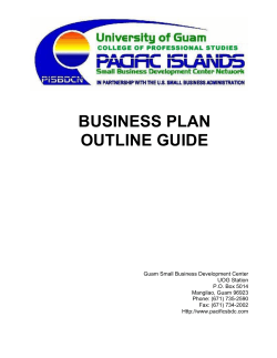 BUSINESS PLAN OUTLINE GUIDE