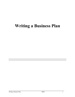Writing a Business Plan Small Business Development Center Georgia State University 404-651-3550