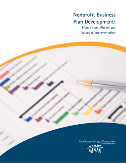 nonprofit Business Plan development: from Vision, Mission and Values to implementation