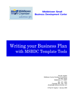 Writing your Business Plan with MSBDC Template Tools