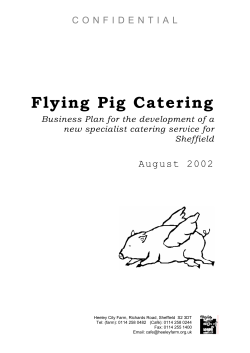 Flying Pig Catering Business Plan for the development of a