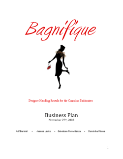 Business Plan  November 27 , 2008   