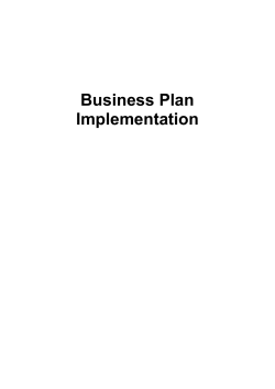 Business Plan Implementation