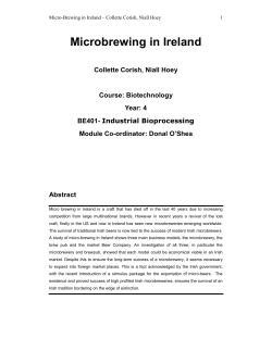 Microbrewing in Ireland