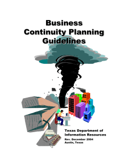 Business Continuity Planning Guidelines Texas Department of
