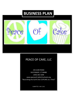 BUSINESS PLAN PEACE OF CAKE, LLC   