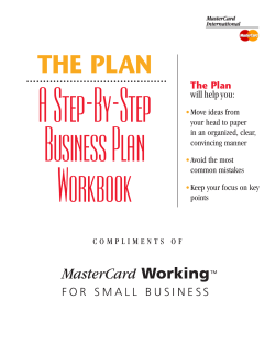 A Step-By-Step Business Plan THE PLAN The Plan