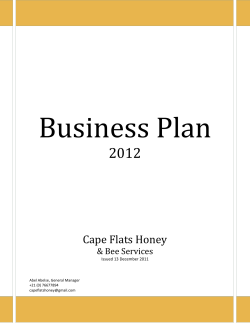 Business Plan  2012 Cape Flats Honey