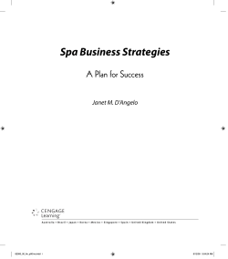 Spa Business Strategies A Plan for Success Janet M. D’Angelo