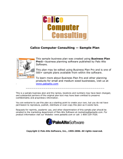 Calico Computer Consulting &mdash; Sample Plan