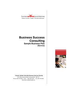 Business Success Consulting Sample Business Plan (Service)