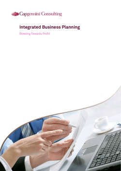 Integrated Business Planning Steering Towards Profit