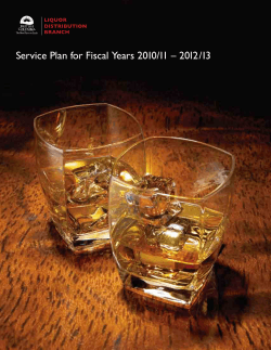 Service Plan for Fiscal Years 2010/11 – 2012/13