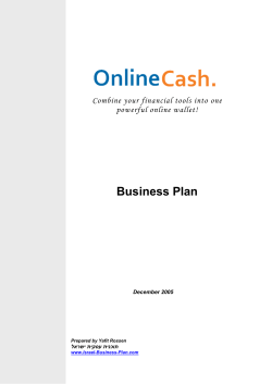 Business Plan Combine your financial tools into one powerful online wallet!