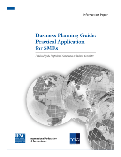 Business Planning Guide: Practical Application for SMEs Information Paper