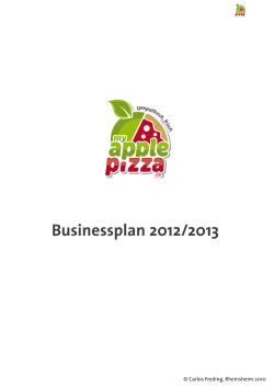 Businessplan 2012/2013 .de © Carlos Freding, Rheinsheim 2010