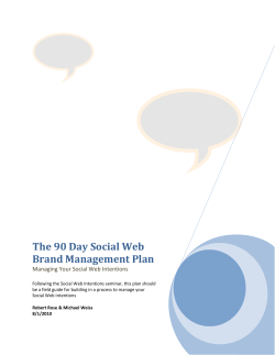The 90 Day Social Web Brand Management Plan