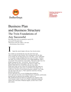 Business Plan and Business Structure The Twin Foundations of Any Successful