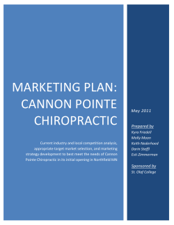 MARKETING PLAN: CANNON POINTE CHIROPRACTIC May 2011