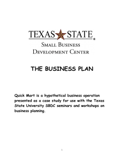 THE BUSINESS PLAN