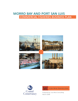 MORRO BAY AND PORT SAN LUIS COMMERCIAL FISHERIES BUSINESS PLAN