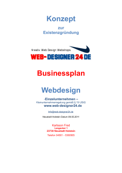 Konzept Webdesign Businessplan zur