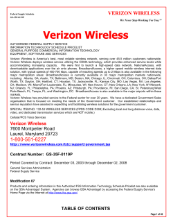 Verizon Wireless VERIZON WIRELESS