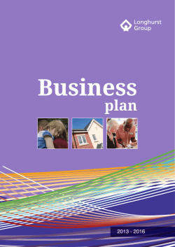 Business  plan 2013 - 2016