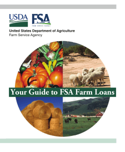 Your Guide to FSA Farm Loans United States Department of Agriculture