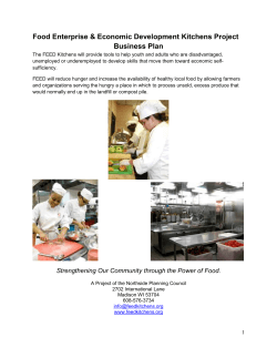 Food Enterprise &amp; Economic Development Kitchens Project Business Plan