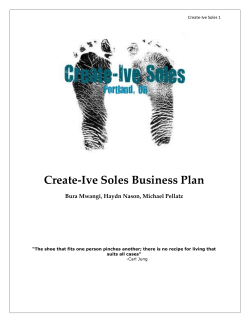 Create-Ive Soles Business Plan  Bura Mwangi, Haydn Nason, Michael Pellatz