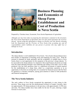 Business Planning and Economics of Sheep Farm Establishment and